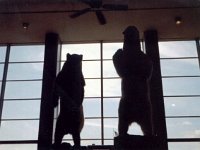 photos 2000-200900249